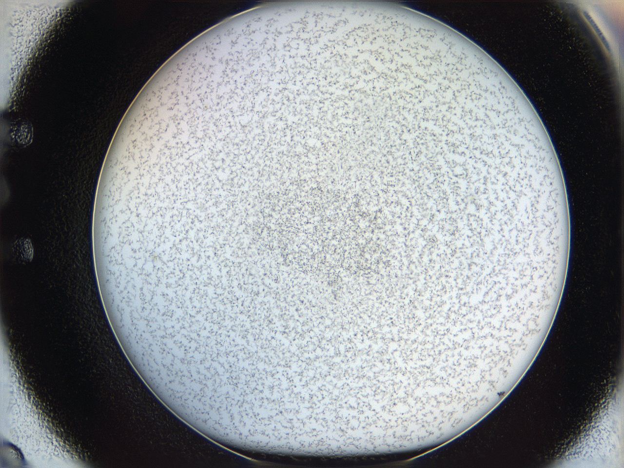 068a_E9_ImagerDefaults_6.jpg