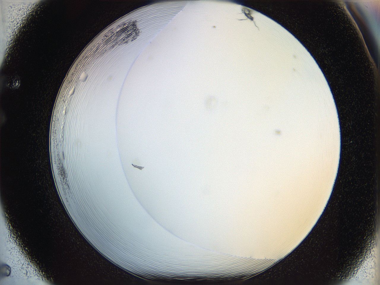 068a_F5_ImagerDefaults_0.jpg