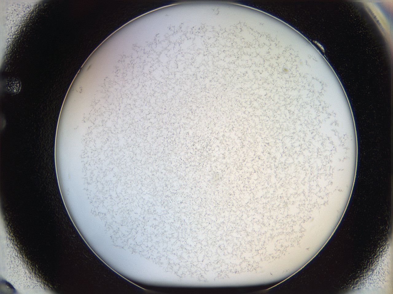 068a_F9_ImagerDefaults_7.jpg
