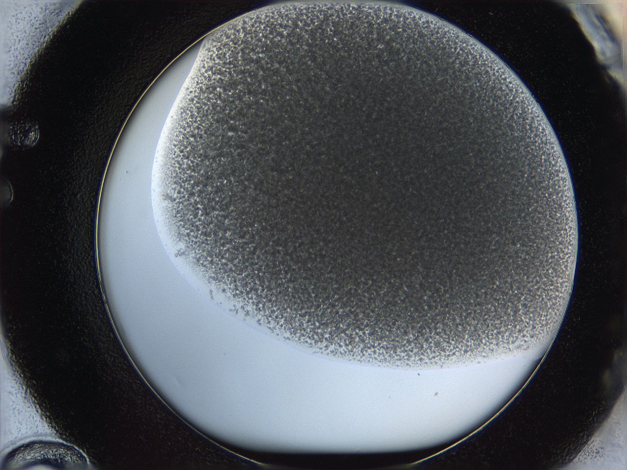 068a_F12_ImagerDefaults_4.jpg