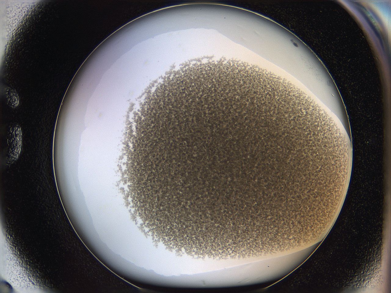 068a_G8_ImagerDefaults_4.jpg