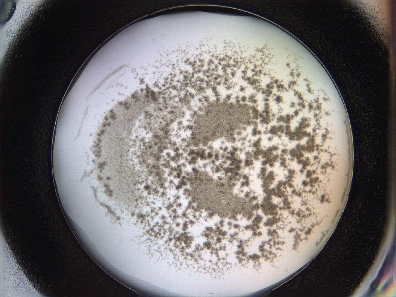 068a_G8_ImagerDefaults_6.jpg