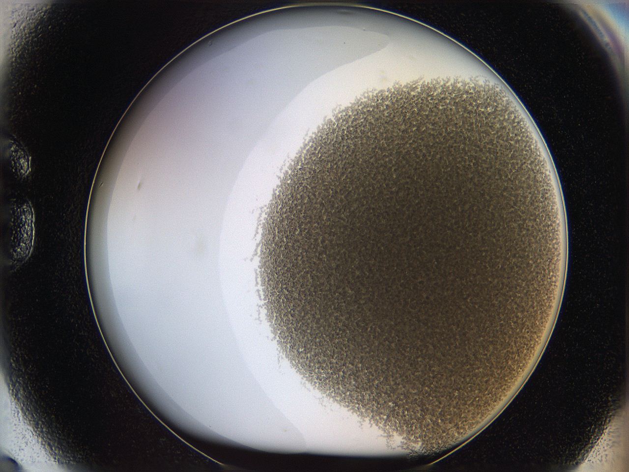 068a_G9_ImagerDefaults_4.jpg