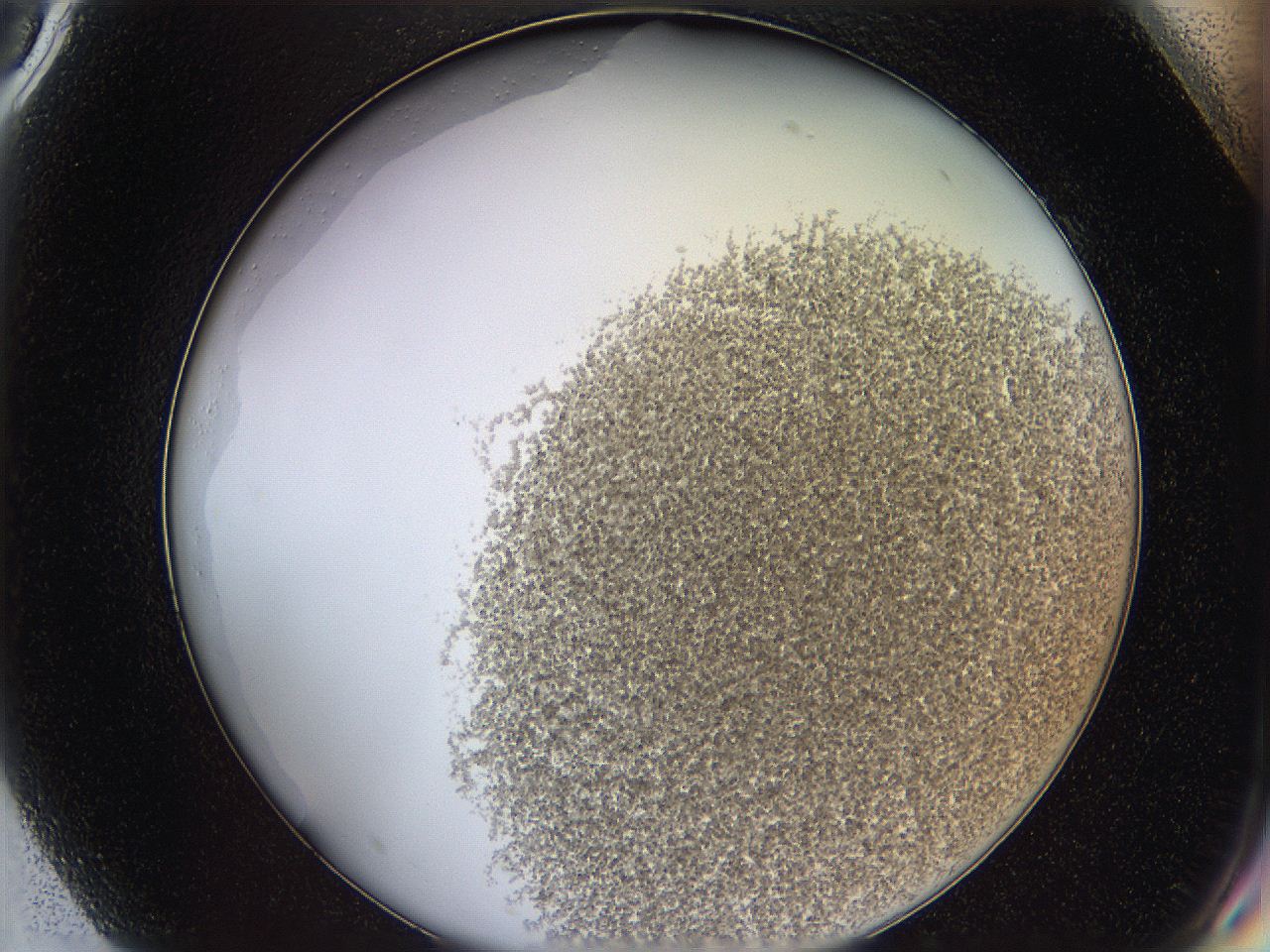 068a_G9_ImagerDefaults_3.jpg
