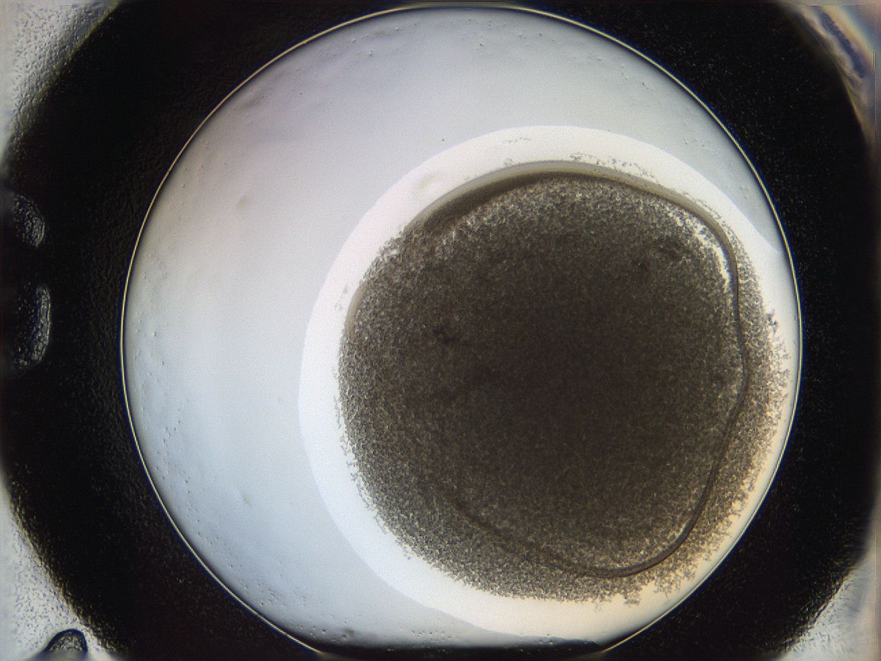 068a_G11_ImagerDefaults_4.jpg