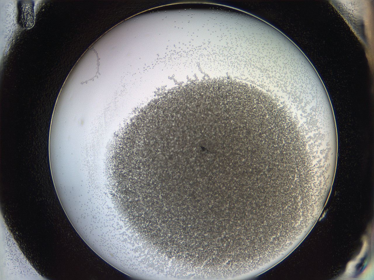 068a_G11_ImagerDefaults_3.jpg