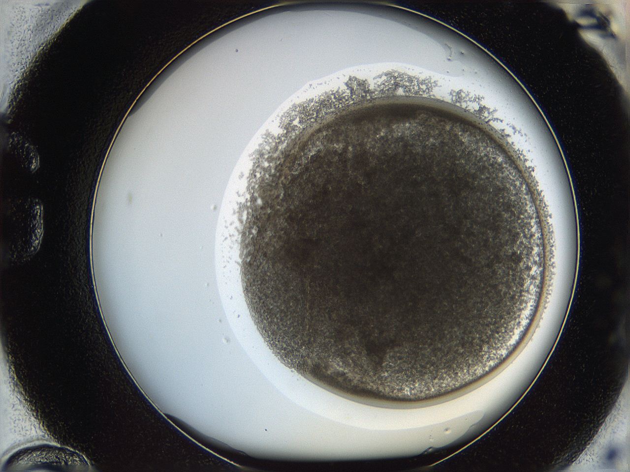 068a_G12_ImagerDefaults_3.jpg