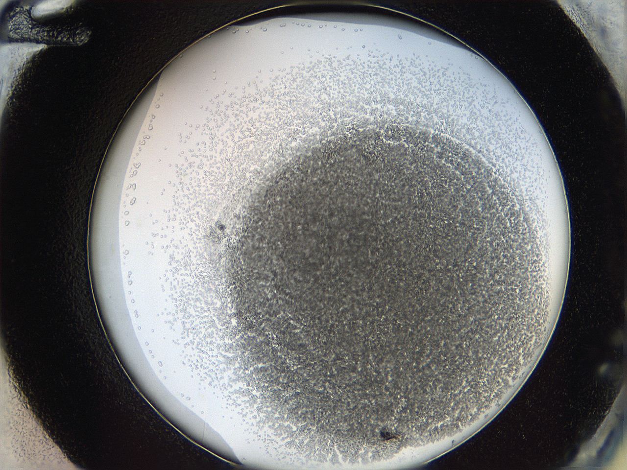 068a_G12_ImagerDefaults_5.jpg