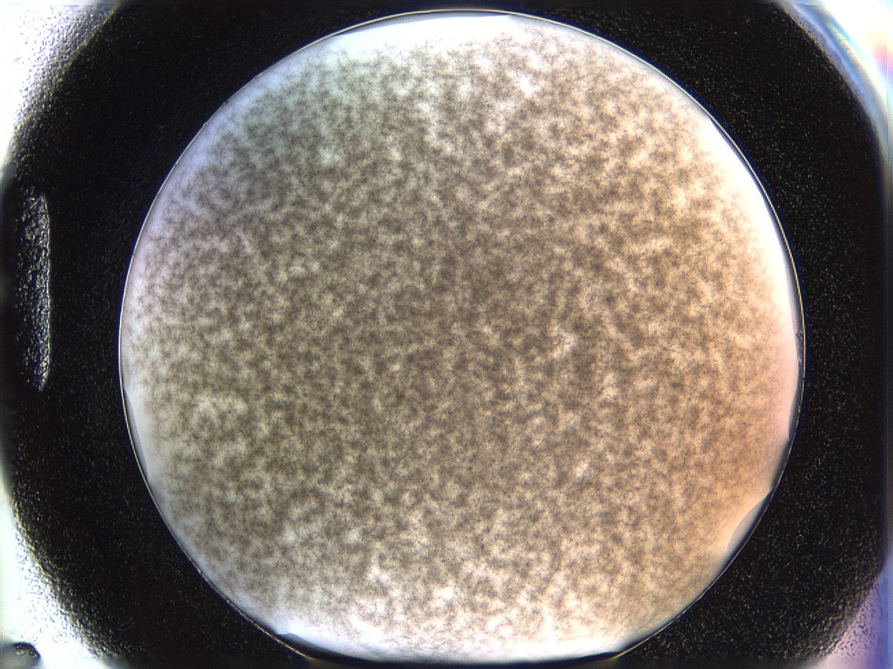 068a_H7_ImagerDefaults_4.jpg