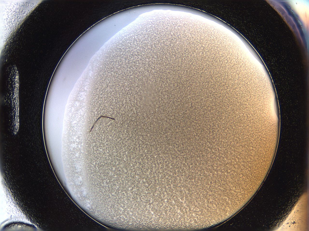068a_H10_ImagerDefaults_3.jpg