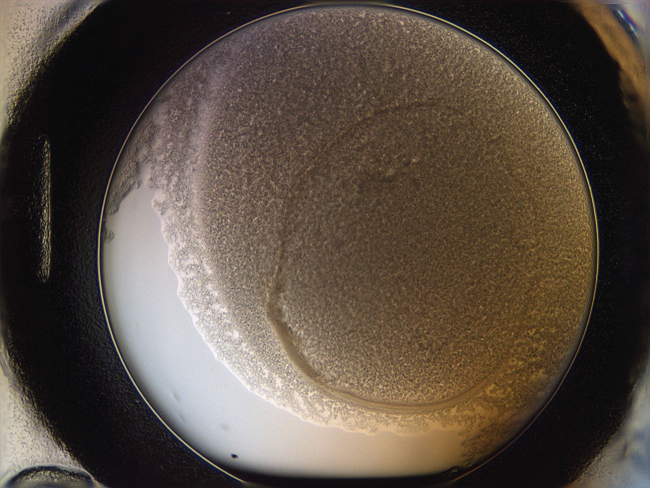 068a_H12_ImagerDefaults_3.jpg