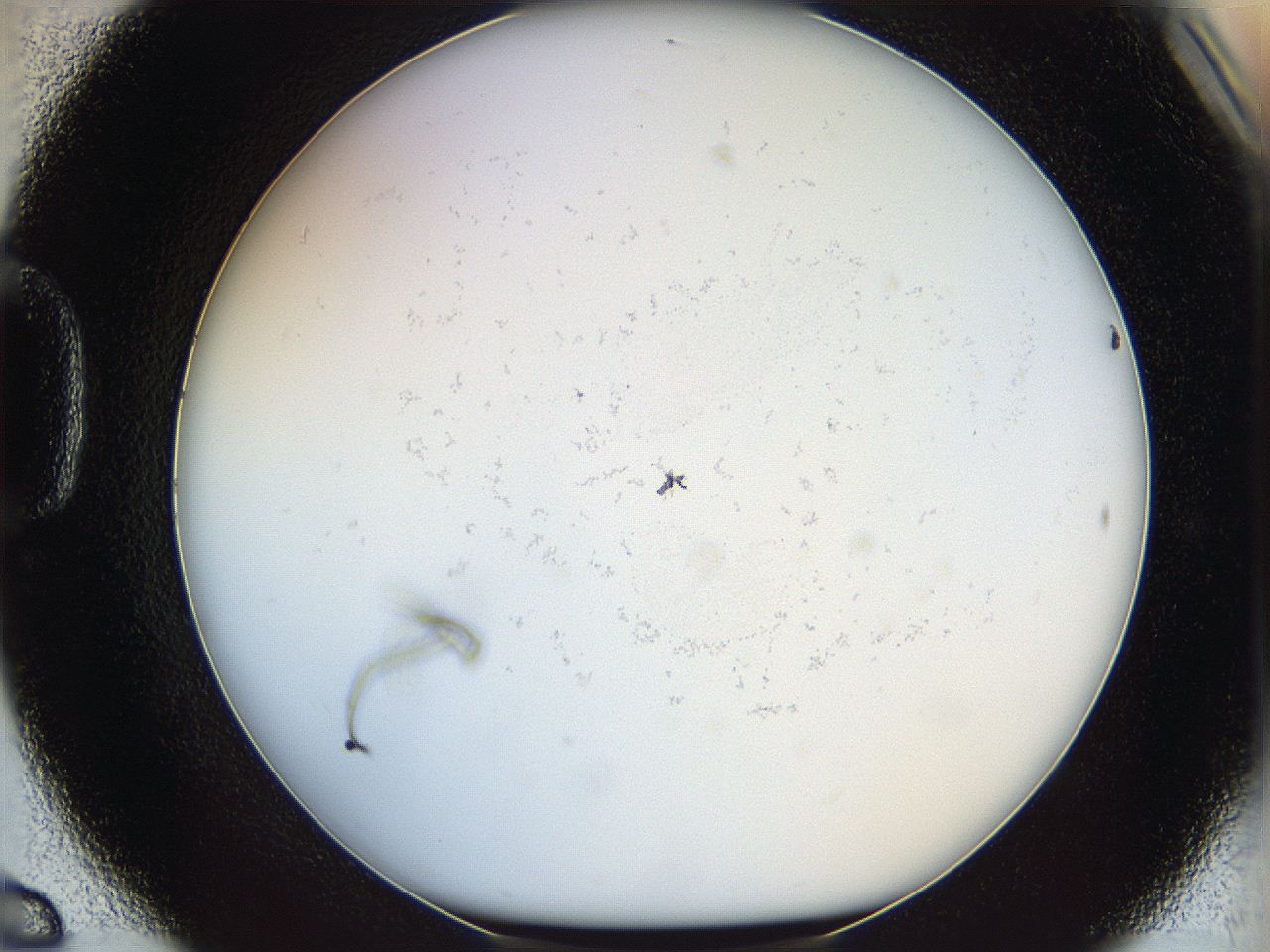 068b_D6_ImagerDefaults_0.jpg