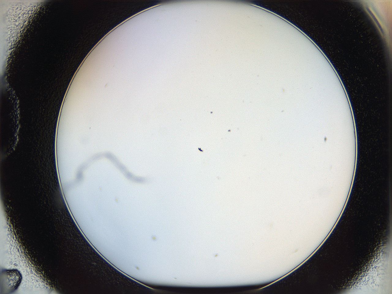 068b_D7_ImagerDefaults_0.jpg