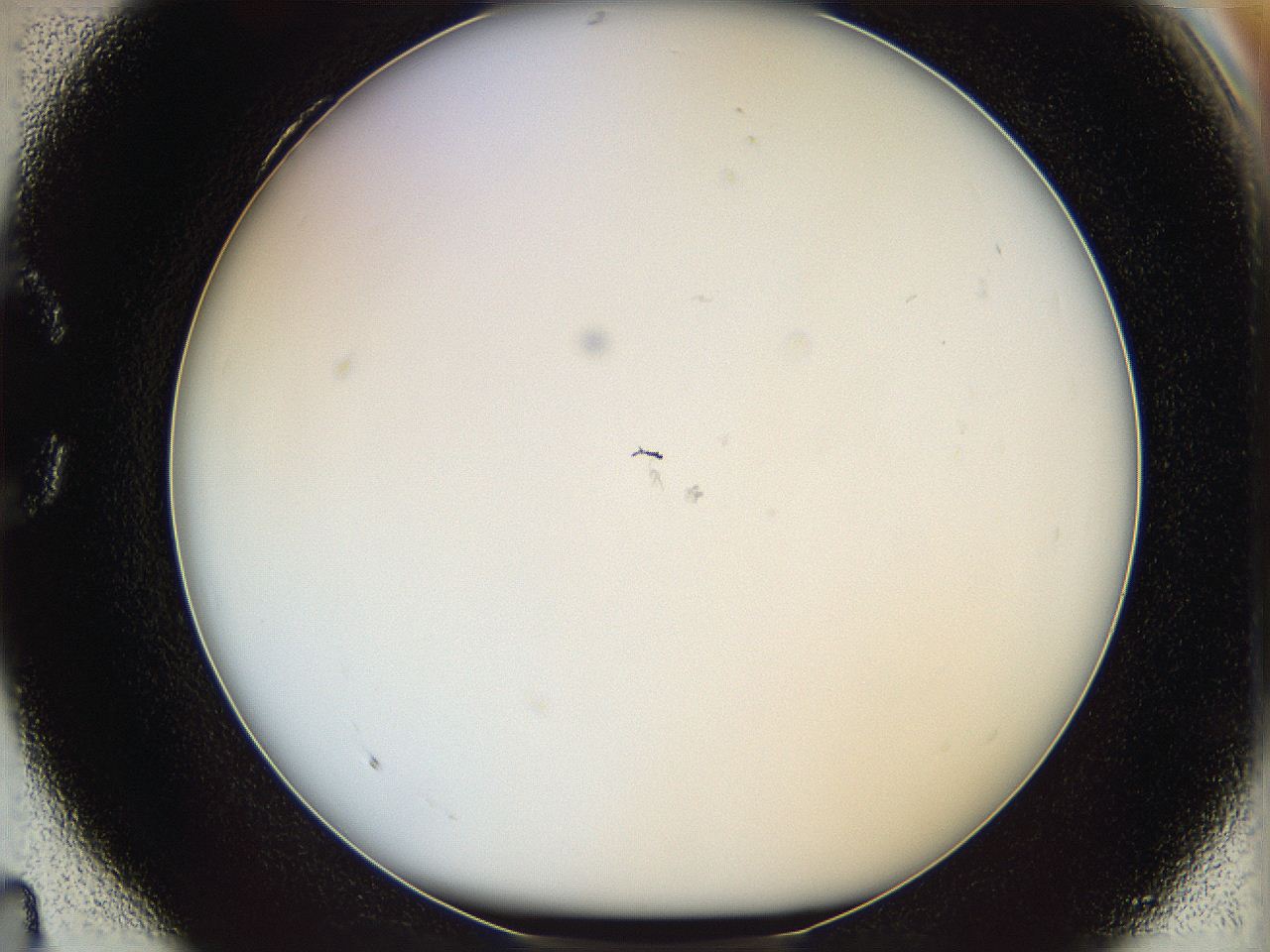 068b_C4_ImagerDefaults_0.jpg