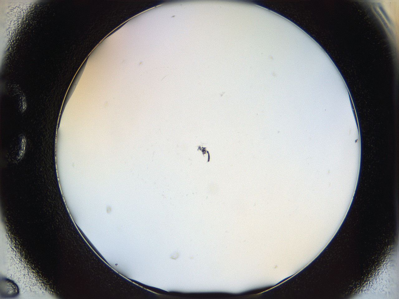 068b_C6_ImagerDefaults_0.jpg