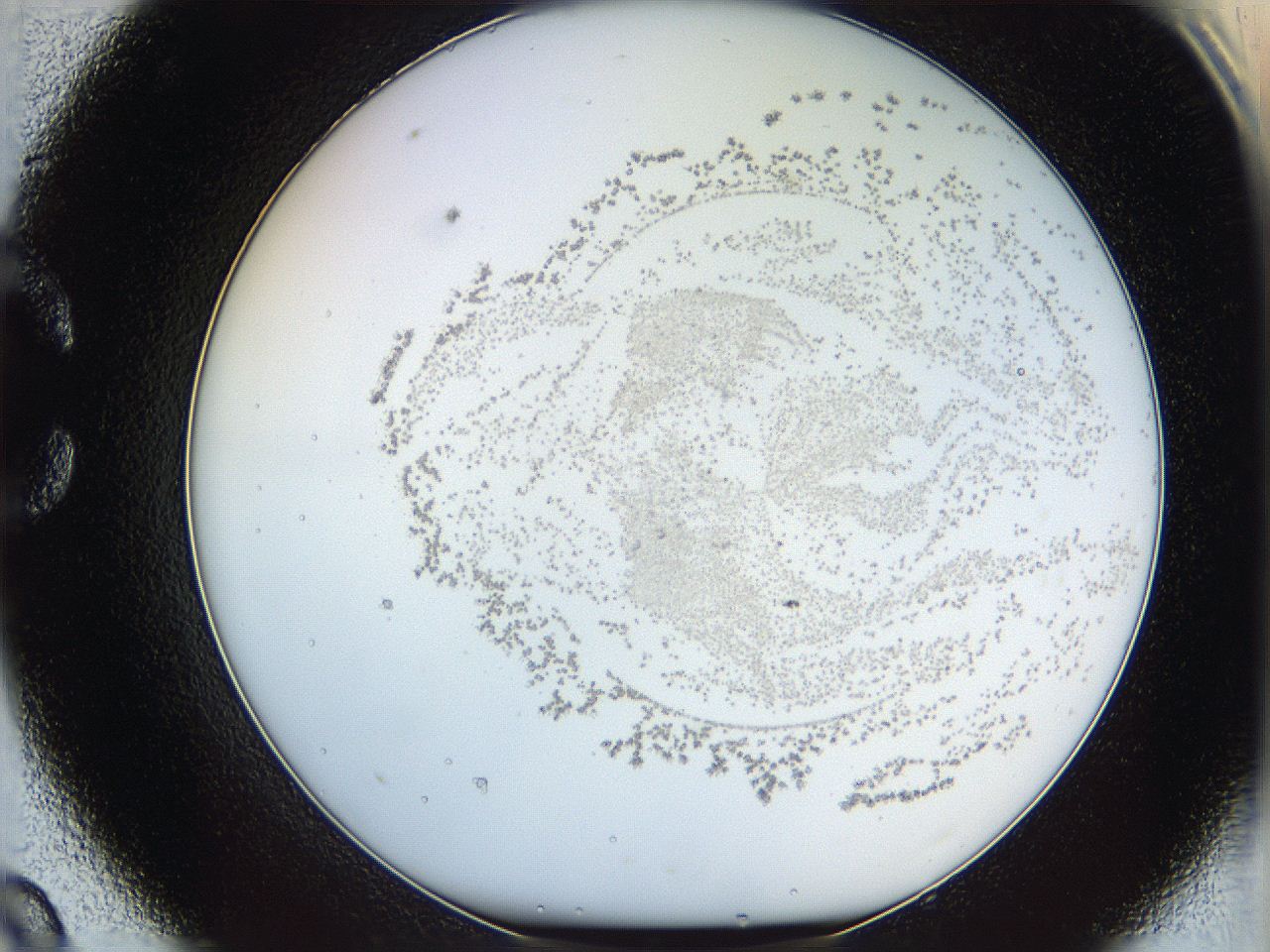 068b_C9_ImagerDefaults_0.jpg