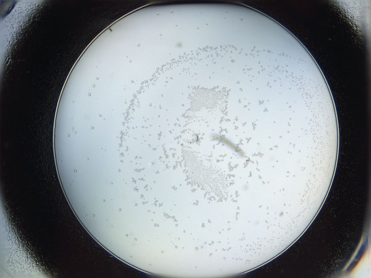 068b_C9_ImagerDefaults_1.jpg