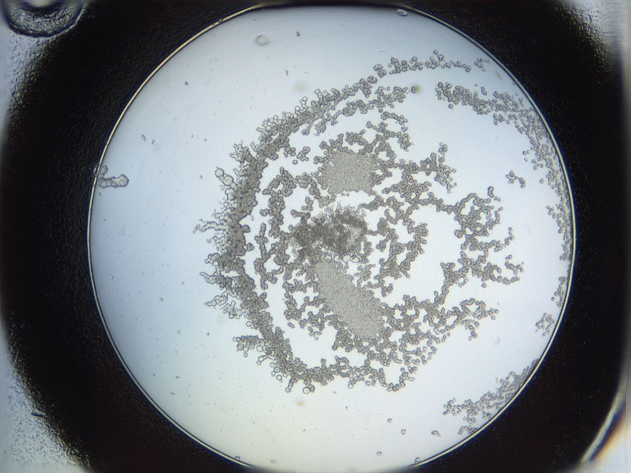 068b_C10_ImagerDefaults_3.jpg
