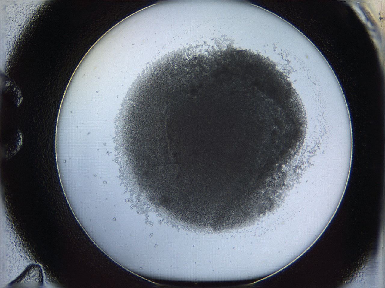 068b_C11_ImagerDefaults_3.jpg