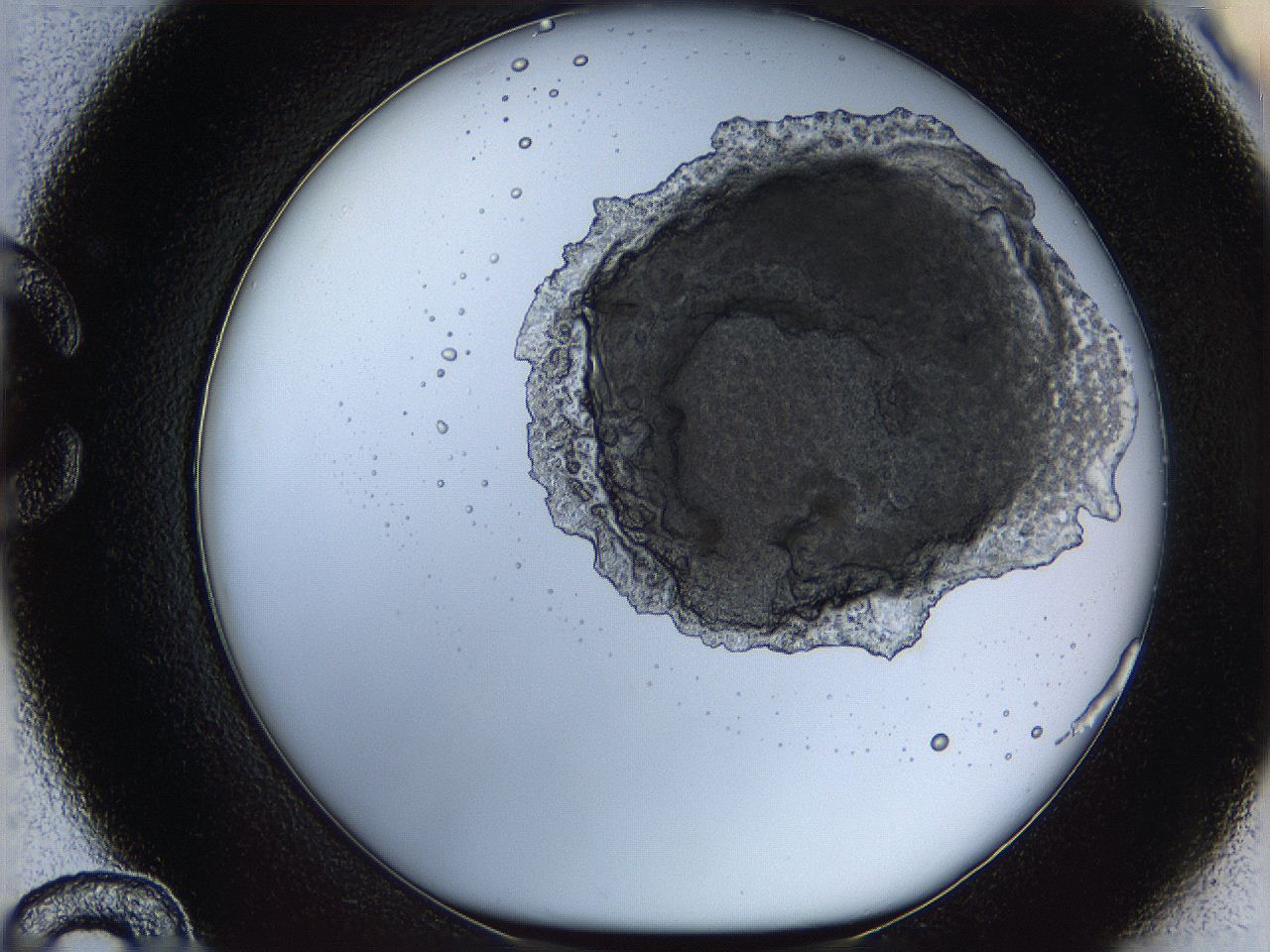 068b_C12_ImagerDefaults_3.jpg