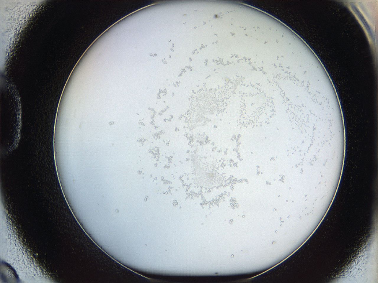 068b_D9_ImagerDefaults_2.jpg
