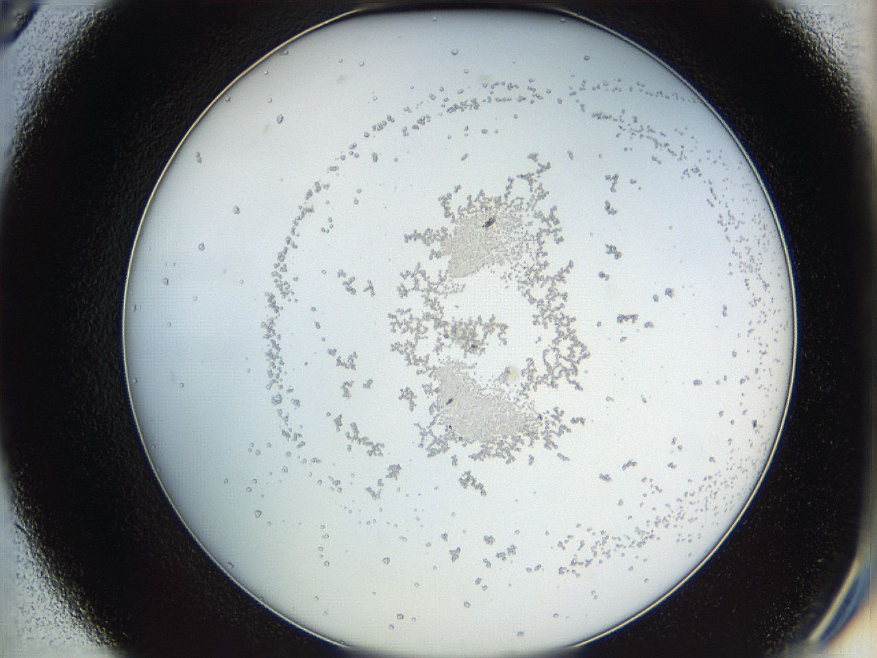 068b_D9_ImagerDefaults_1.jpg