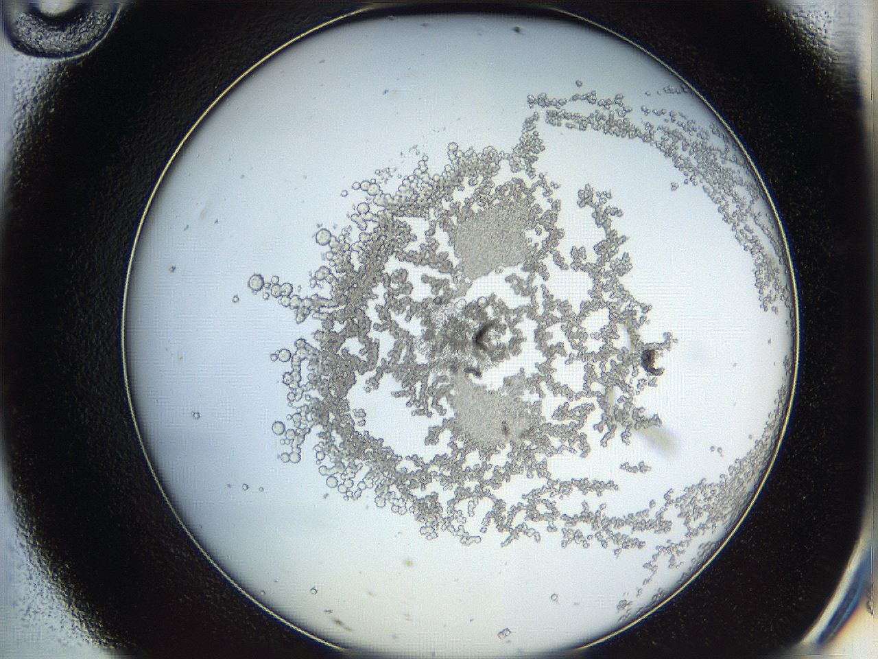 068b_D10_ImagerDefaults_3.jpg