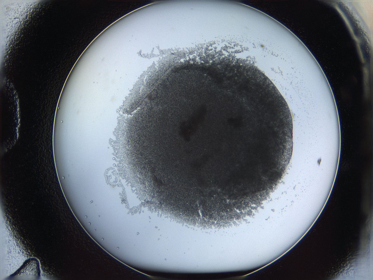 068b_D11_ImagerDefaults_3.jpg