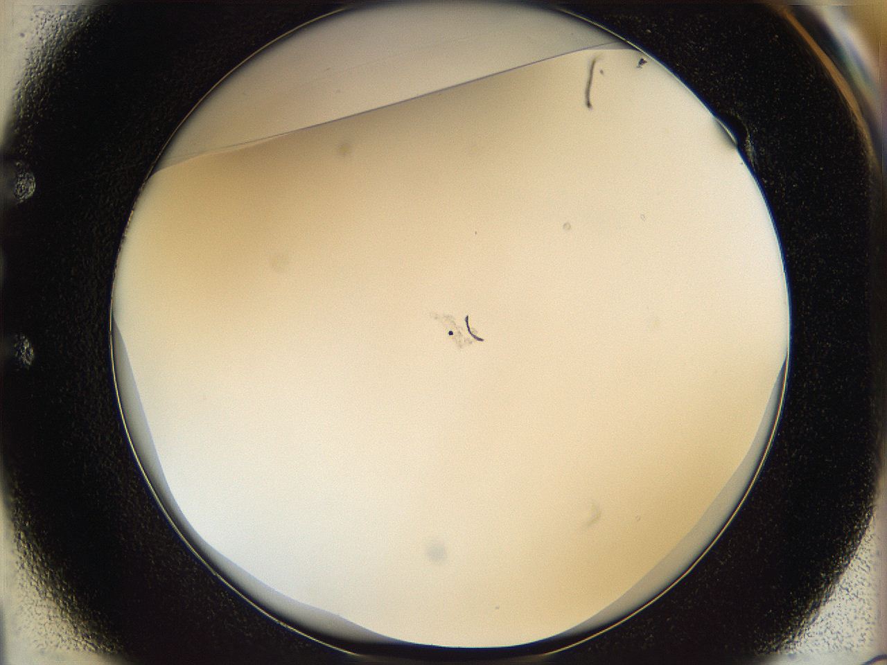 068b_E1_ImagerDefaults_0.jpg
