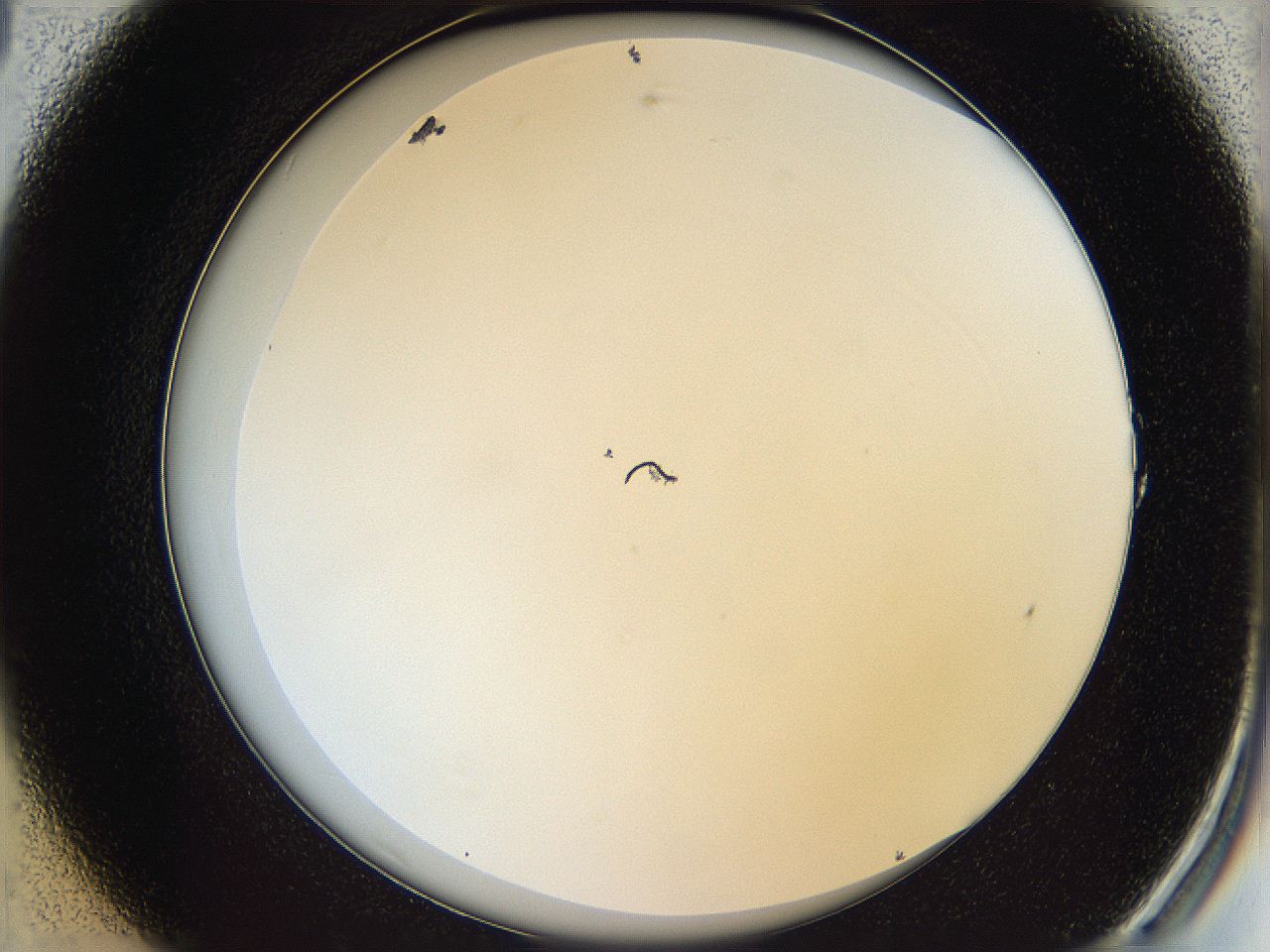068b_A1_ImagerDefaults_0.jpg
