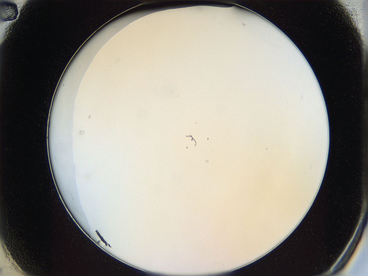 068b_A2_ImagerDefaults_0.jpg
