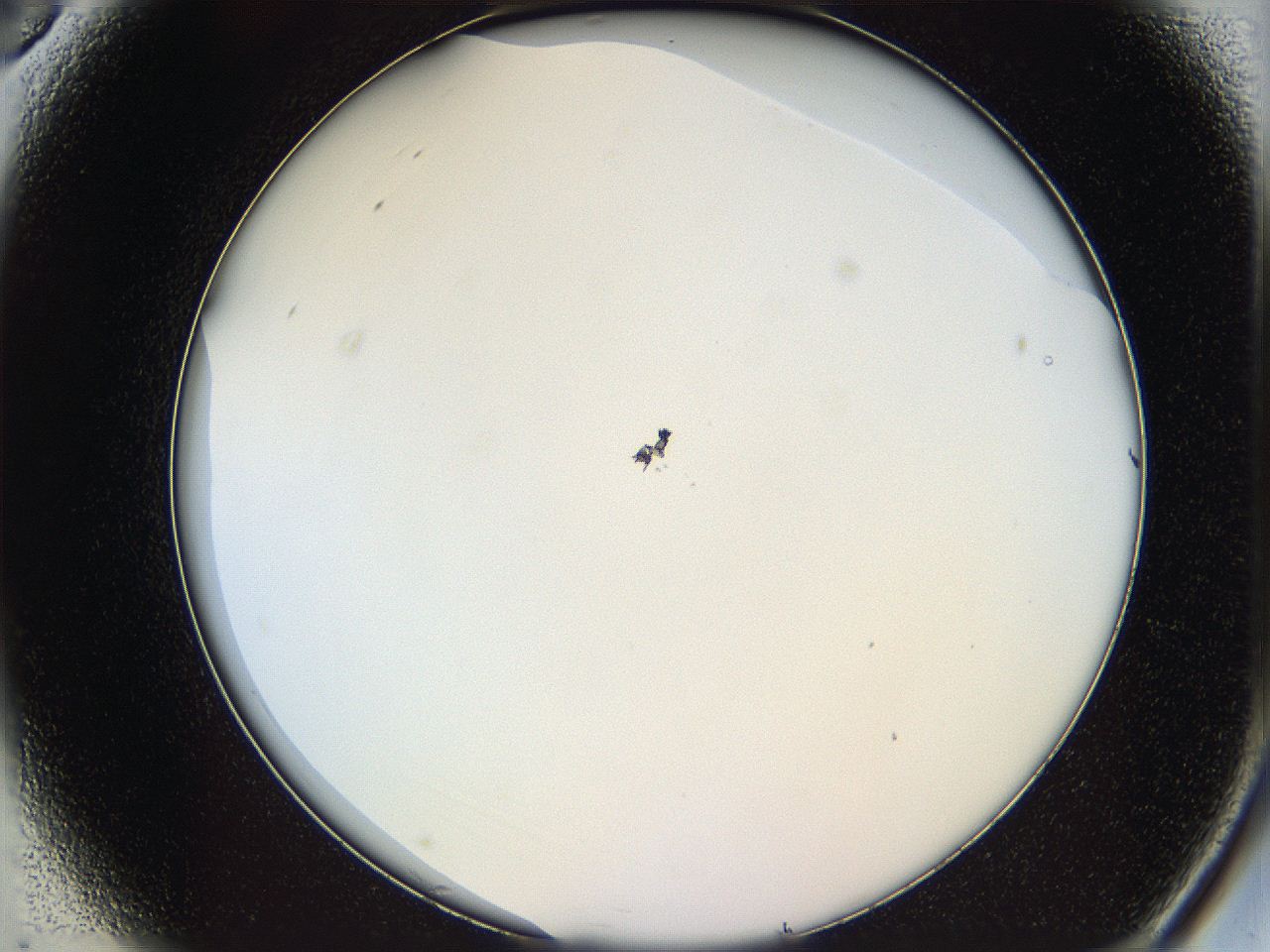 068b_A3_ImagerDefaults_0.jpg