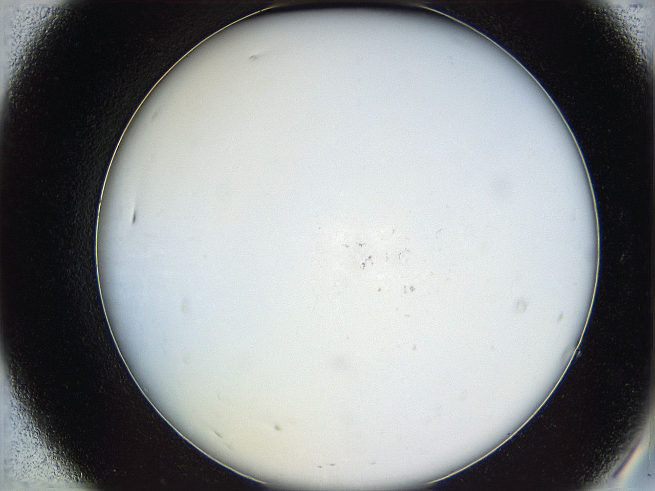 068b_A7_ImagerDefaults_0.jpg