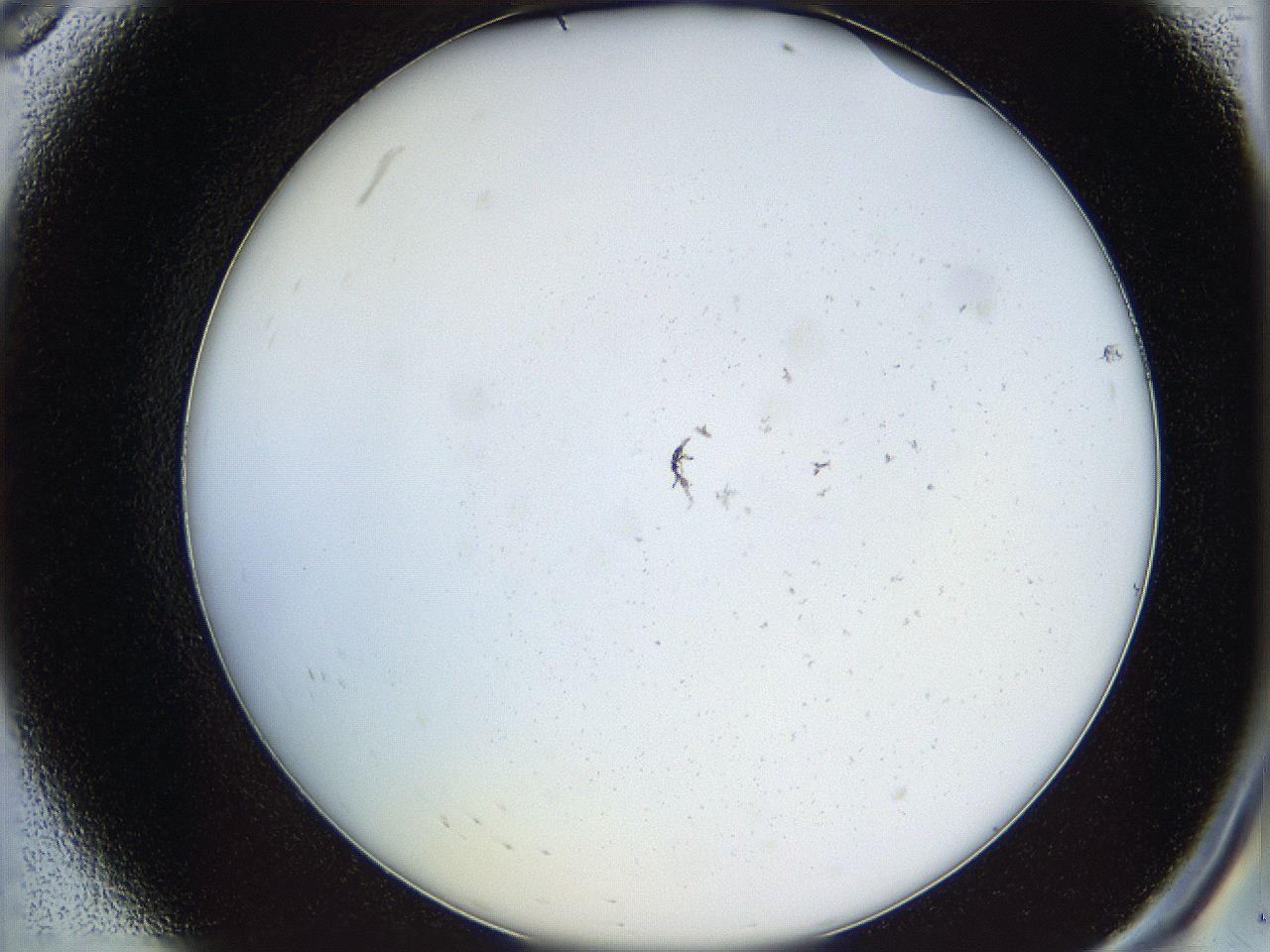068b_A8_ImagerDefaults_0.jpg