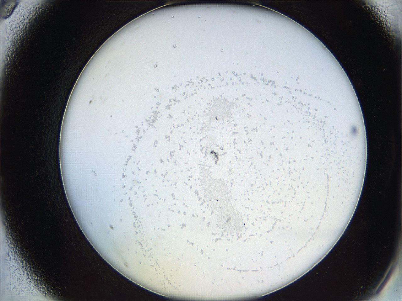 068b_A9_ImagerDefaults_0.jpg