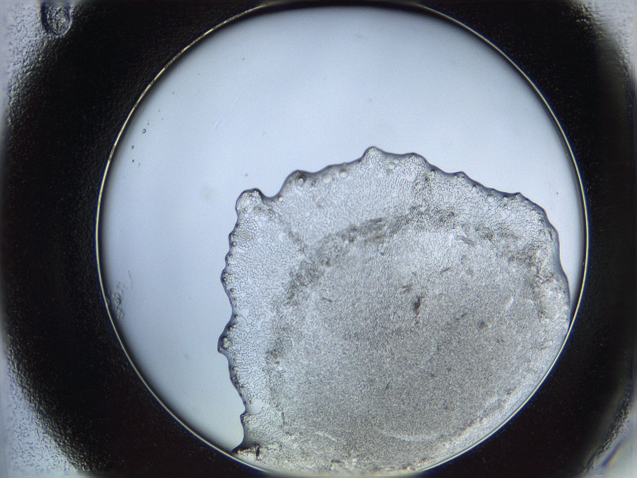 068b_A11_ImagerDefaults_3.jpg