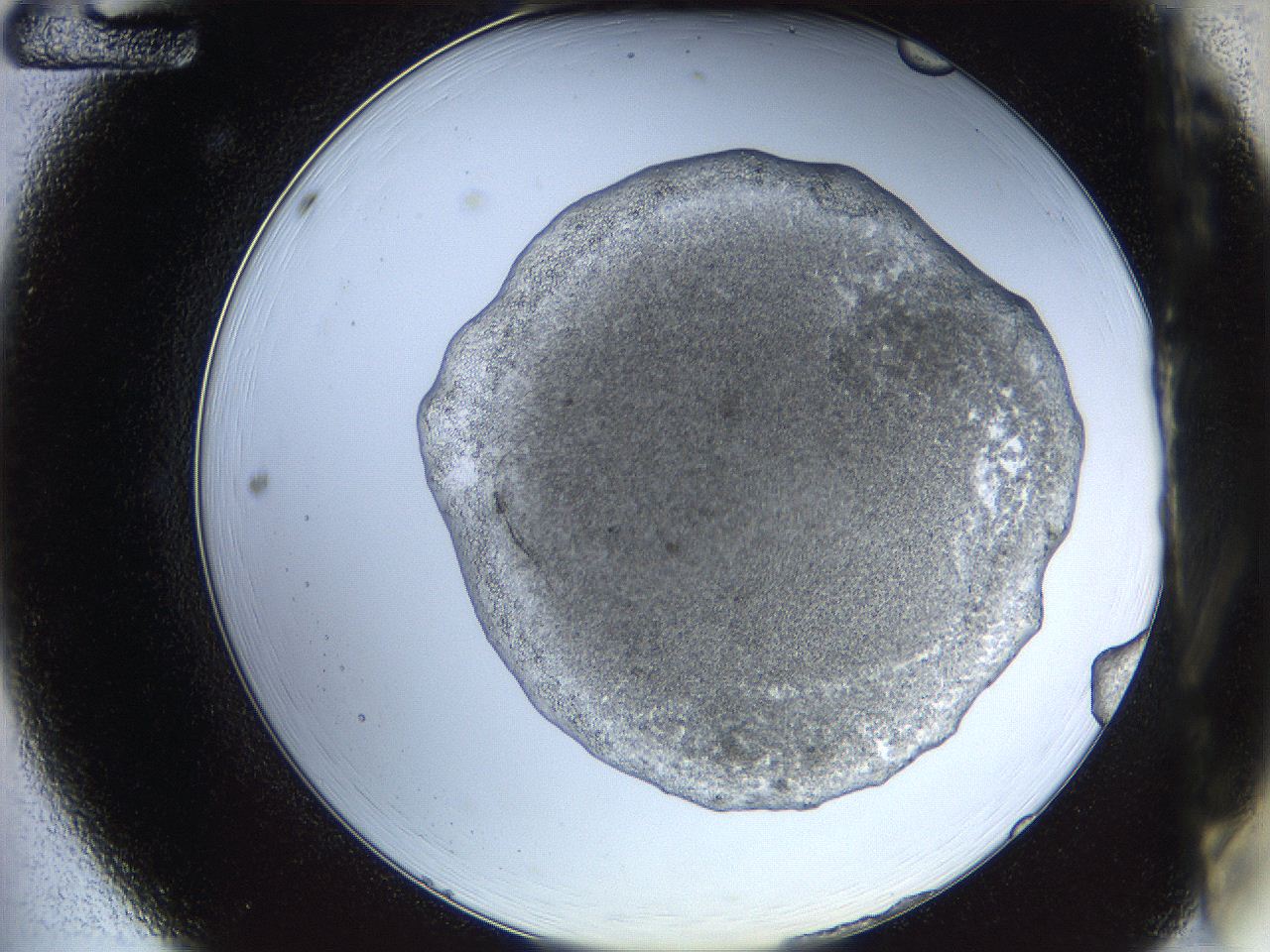 068b_A12_ImagerDefaults_3.jpg