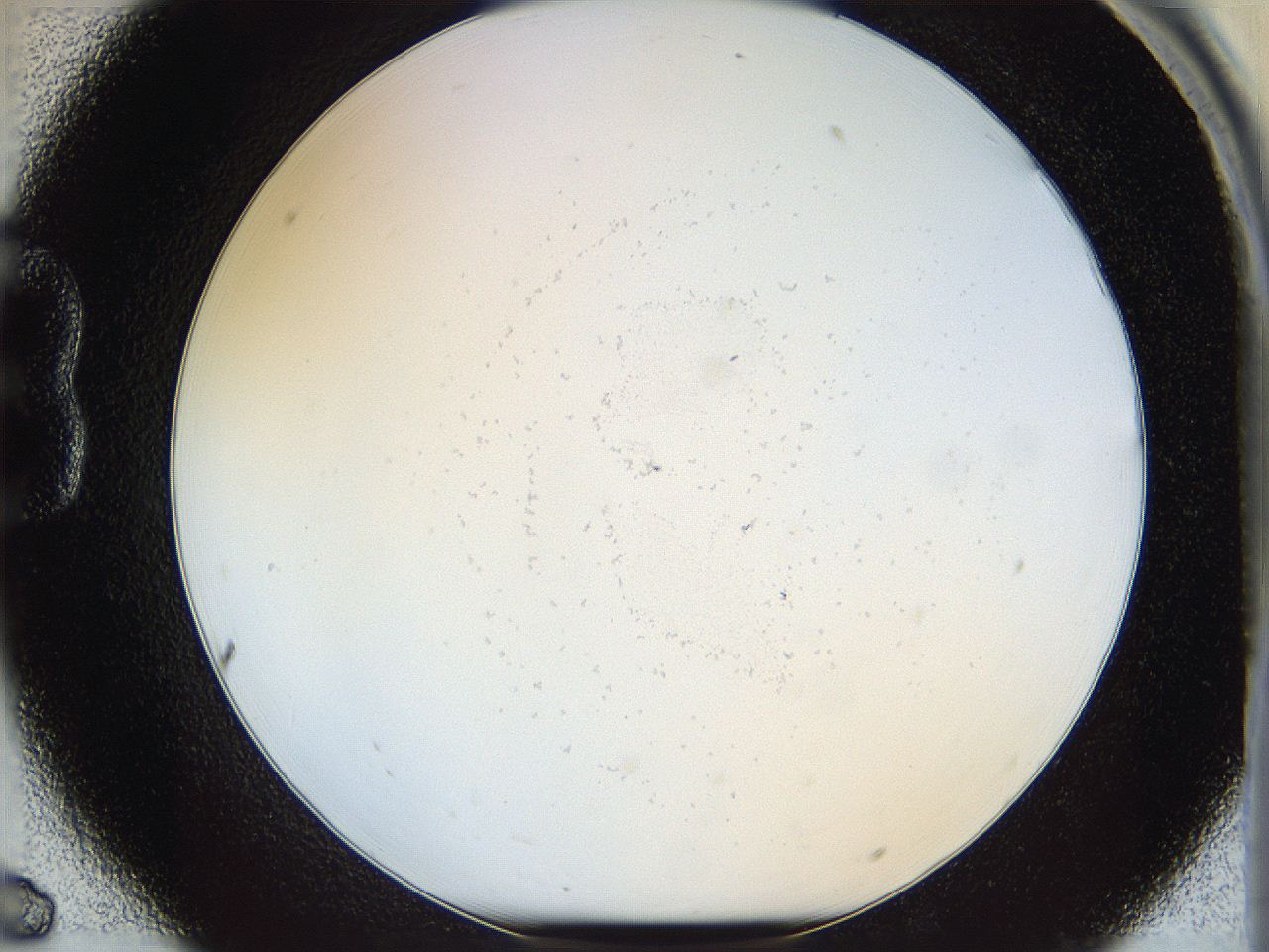 068b_B6_ImagerDefaults_0.jpg