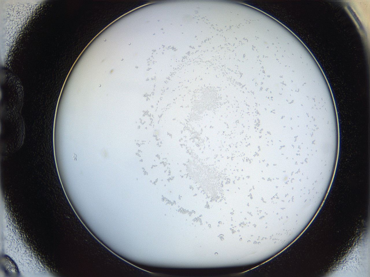 068b_B9_ImagerDefaults_0.jpg