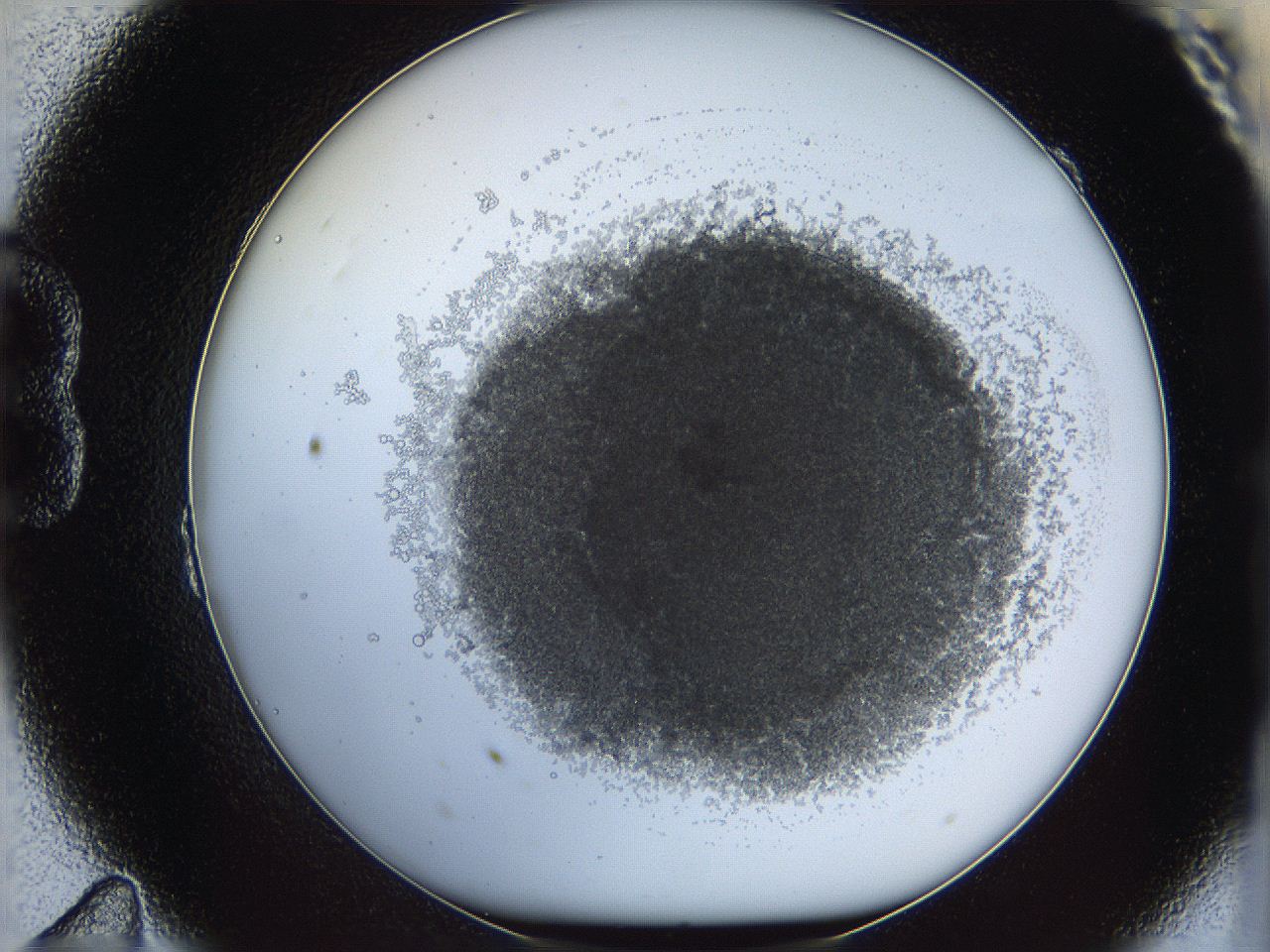 068b_B11_ImagerDefaults_3.jpg