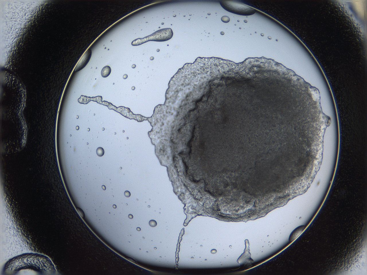 068b_B12_ImagerDefaults_3.jpg