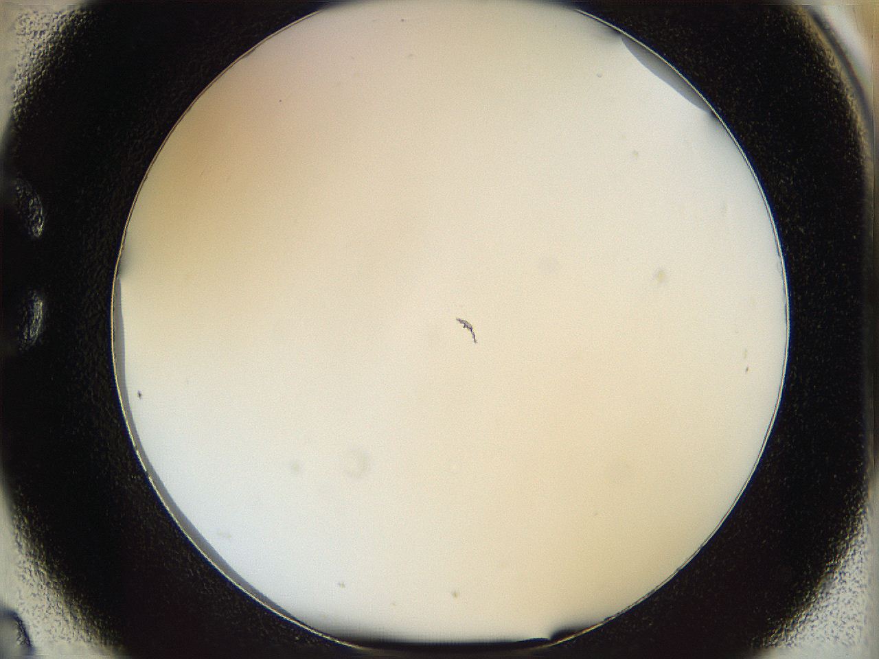 068b_C2_ImagerDefaults_0.jpg
