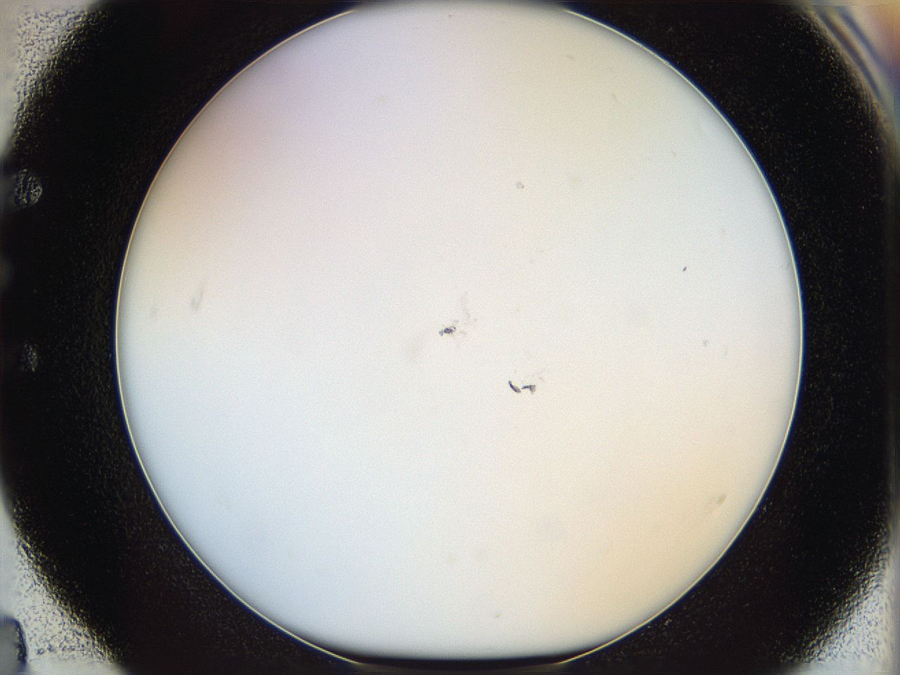 068b_E4_ImagerDefaults_0.jpg