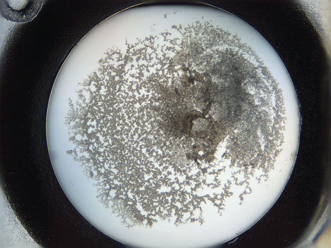 068b_E10_ImagerDefaults_3.jpg