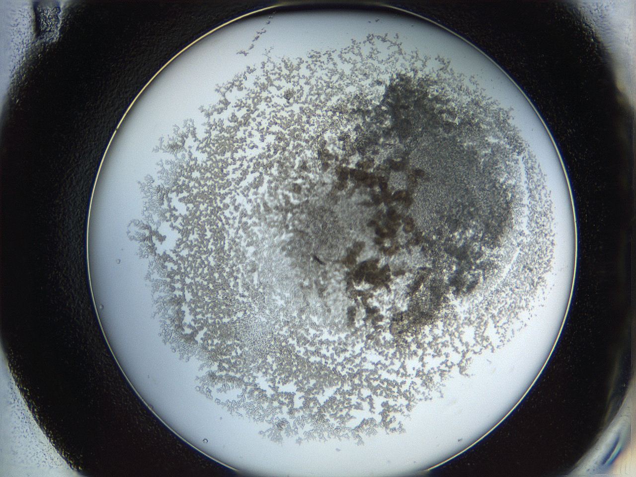 068b_E11_ImagerDefaults_3.jpg