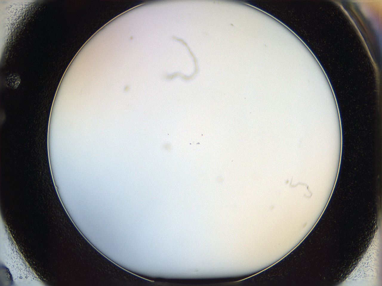 068b_F2_ImagerDefaults_0.jpg