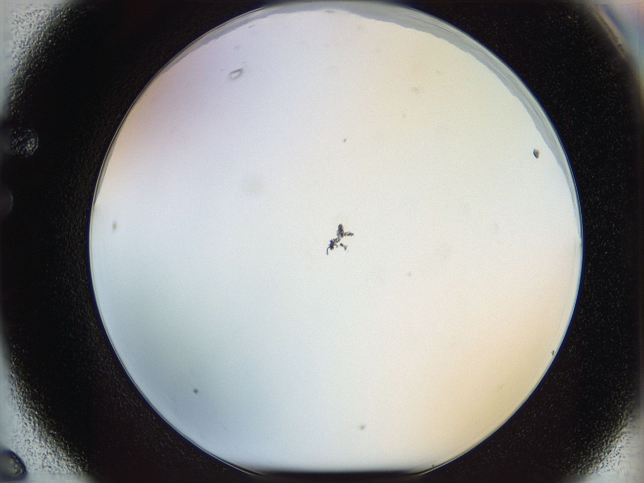 068b_F6_ImagerDefaults_0.jpg