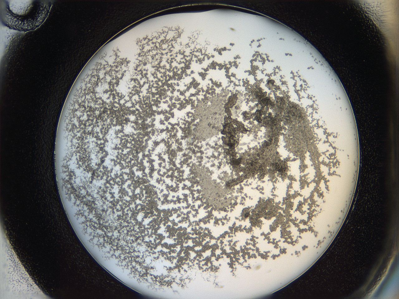 068b_F10_ImagerDefaults_3.jpg