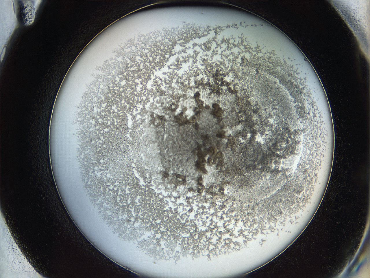 068b_F11_ImagerDefaults_3.jpg