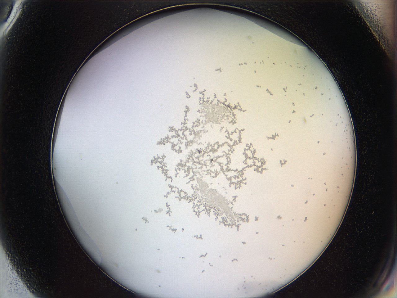 068b_G9_ImagerDefaults_2.jpg